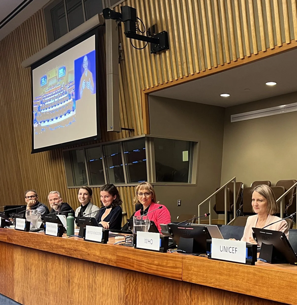 The panel of experts at the side event